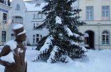 Winterimpressionen_002.jpg