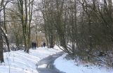Winterimpressionen_019.jpg