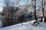 Winter im Park 08.12. 2012_108.jpg