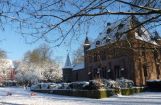 Winter im Park 08.12. 2012_115.jpg