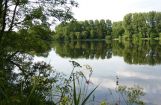 Nette_See_Natur_008.JPG