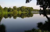 Nette_See_Natur_026.JPG