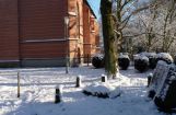 Winter im Park 08.12. 2012_100.jpg