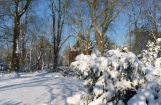 Winter im Park 08.12. 2012_117.jpg