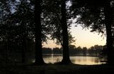 Nette_See_Natur_031.JPG
