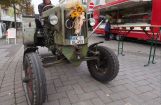 PA230235.jpg