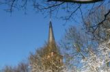Winter im Park 08.12. 2012_105.jpg