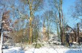Winter im Park 08.12. 2012_116.jpg