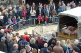 Ferkesmarkt 2014 005.jpg