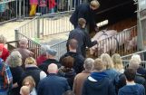 Ferkesmarkt 2014 006.jpg