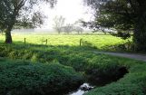 Nette_See_Natur_029.JPG