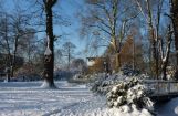 Winter im Park 08.12. 2012_118.jpg