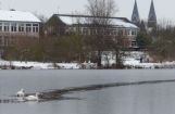 Winterimpressionen_030.jpg