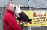 035 F-Markt 2016.jpg