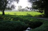 Nette_See_Natur_005.JPG