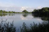 Nette_See_Natur_011.JPG