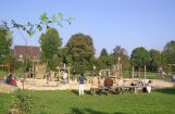 Nette_See_Natur_027.JPG