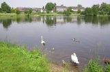 Nette_See_Natur_040.JPG