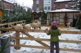Adventsmarkt 2010  012.JPG