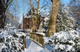 Winter im Park 08.12. 2012_101.jpg