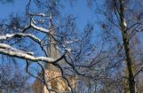 Winter im Park 08.12. 2012_104.jpg