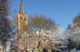 Winter im Park 08.12. 2012_106.jpg