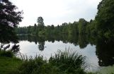 Nette_See_Natur_001.JPG