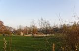Nette_See_Natur_033.JPG
