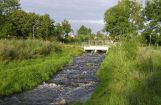 Nette_See_Natur_042.JPG