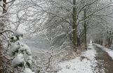Winterimpressionen_022.jpg