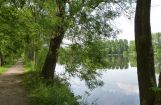 Nette_See_Natur_009.JPG