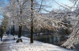 Winter im Park 08.12. 2012_111.jpg