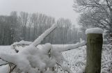 Winterimpressionen_023.jpg