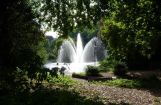 park_002.jpg