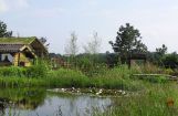 Nette_See_Natur_007.JPG