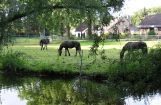 Nette_See_Natur_044.JPG