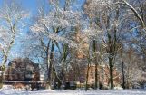 Winter im Park 08.12. 2012_109.jpg