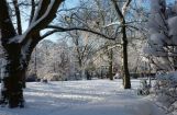 Winter im Park 08.12. 2012_102.jpg