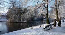 Winter im Park