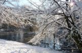 Winter im Park 08.12. 2012_110.jpg