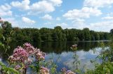 Nette_See_Natur_003.JPG