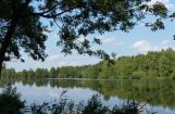Nette_See_Natur_017.JPG