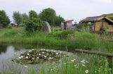 Nette_See_Natur_020.JPG