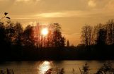 Nette_See_Natur_035.JPG