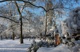 Winter im Park 08.12. 2012_103.jpg