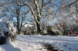 Winter im Park 08.12. 2012_113.jpg