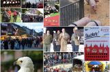 Ferkesmarkt 2014 002.jpg