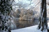 Winter im Park 08.12. 2012_107.jpg