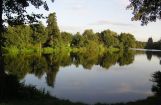 Nette_See_Natur_004.JPG