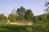 Nette_See_Natur_028.JPG
